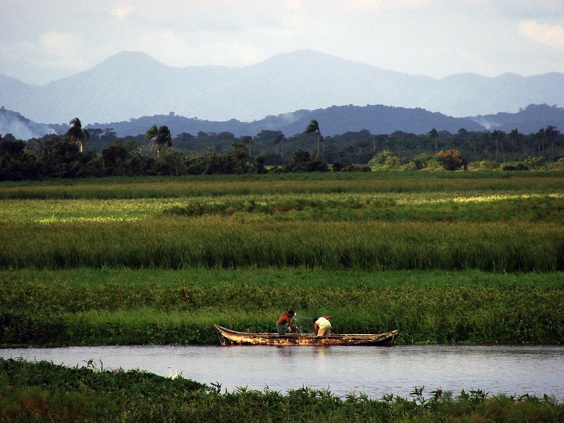 Challenging the Blue Economy: Voices from Artisanal Fishing Communities in Latin America and the Caribbean.