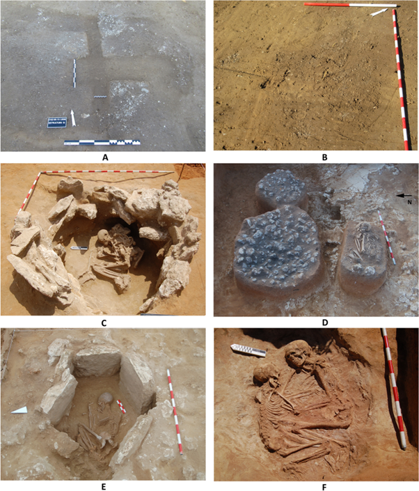 Marine resource exploitation and human settlement patterns during the Neolithic in SW Europe