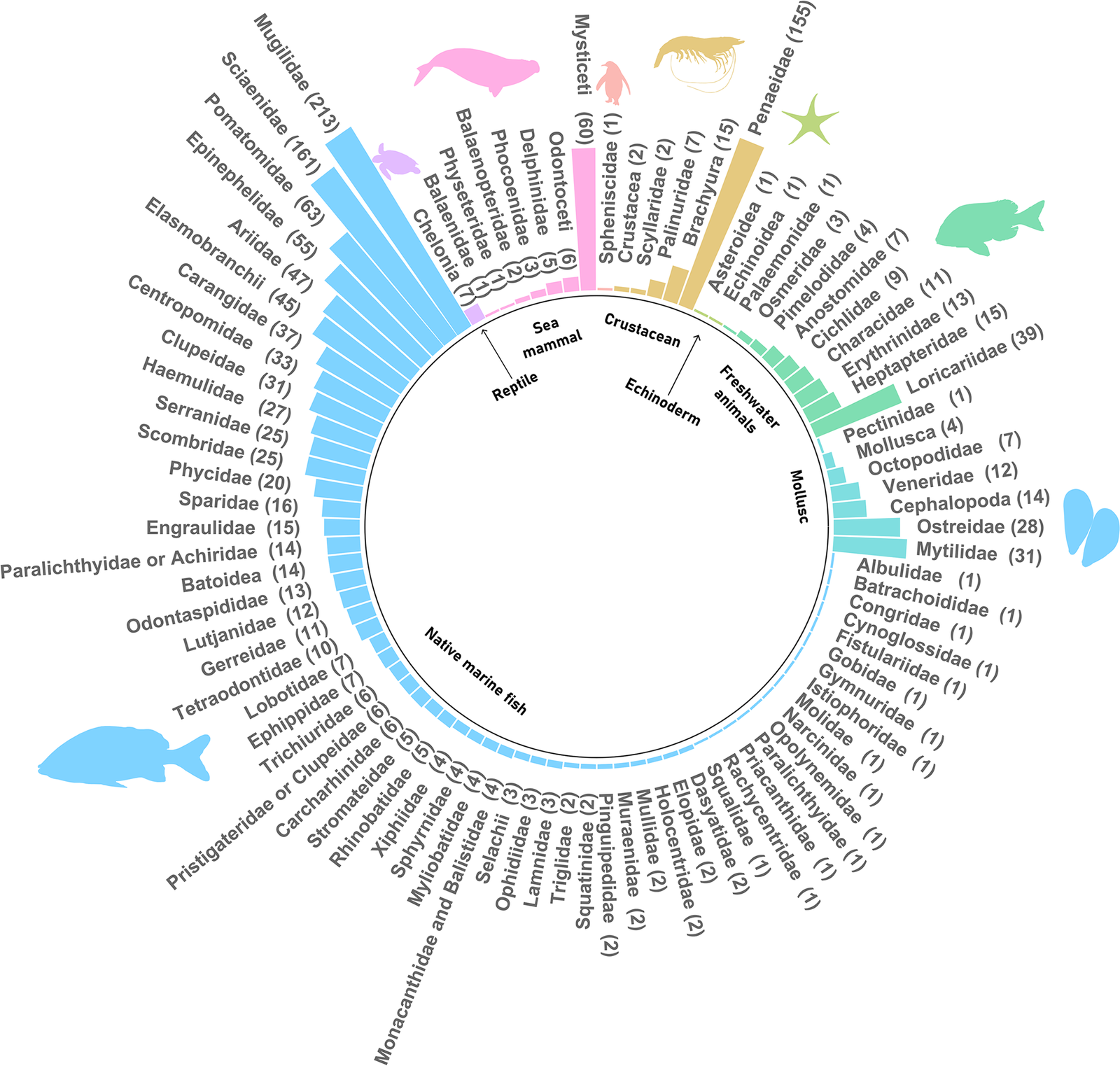 180 years of marine animal diversity as perceived by public media in southern Brazil