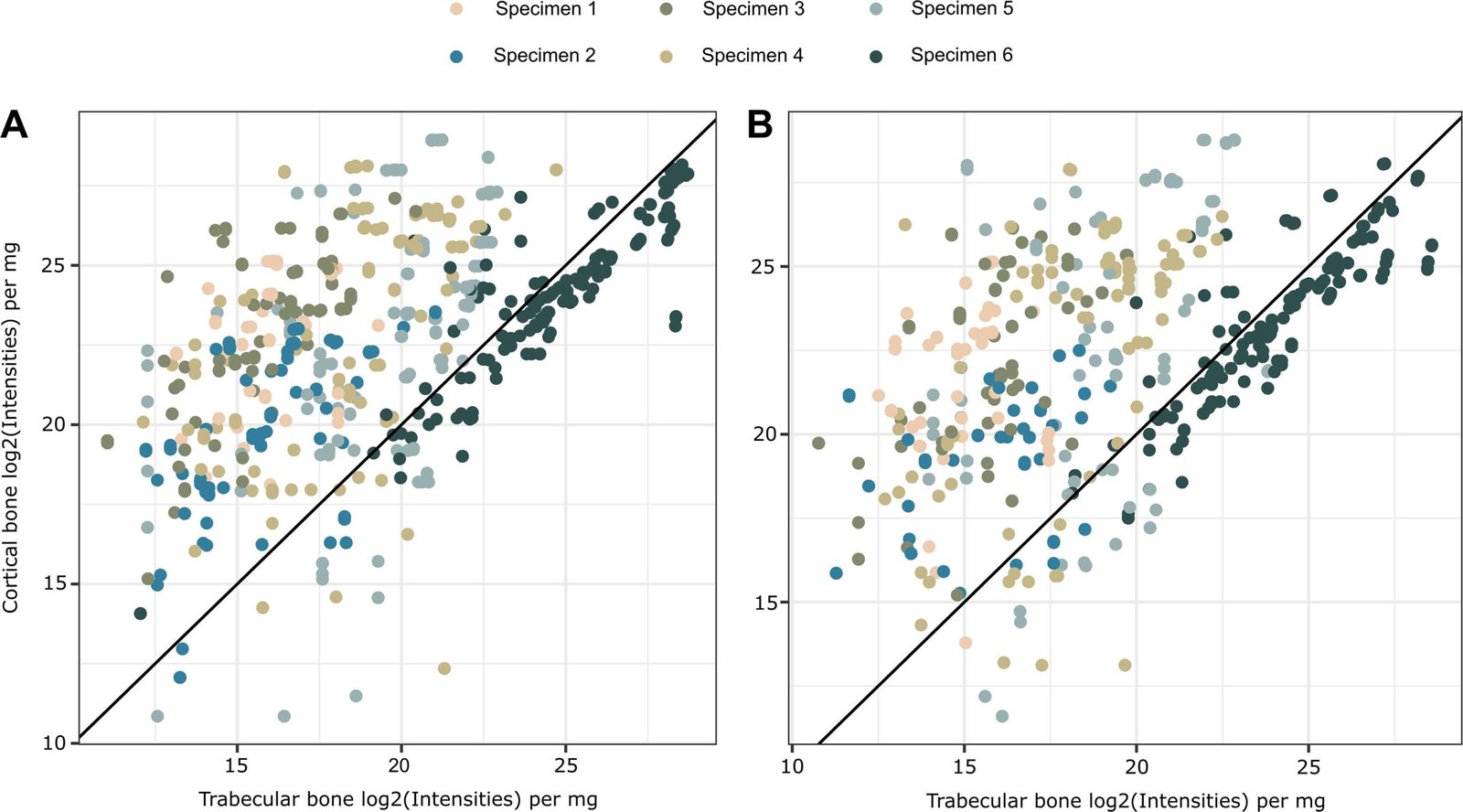 Early Holocene preservation differences between cortical and trabecular bone proteomes