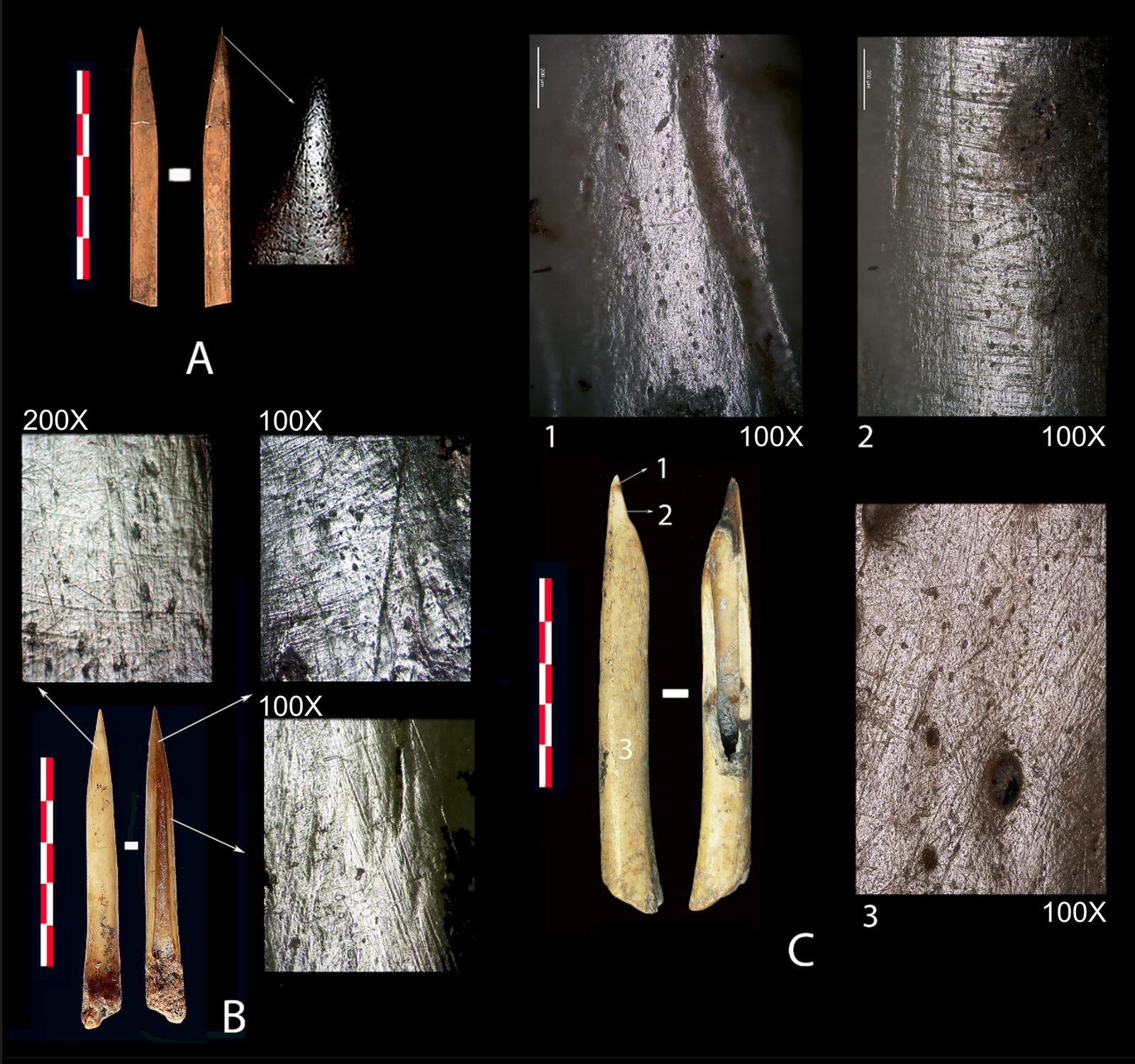 Combining traceological analysis and ZooMS on Early Neolithic bone artefacts from the cave of Coro Trasito