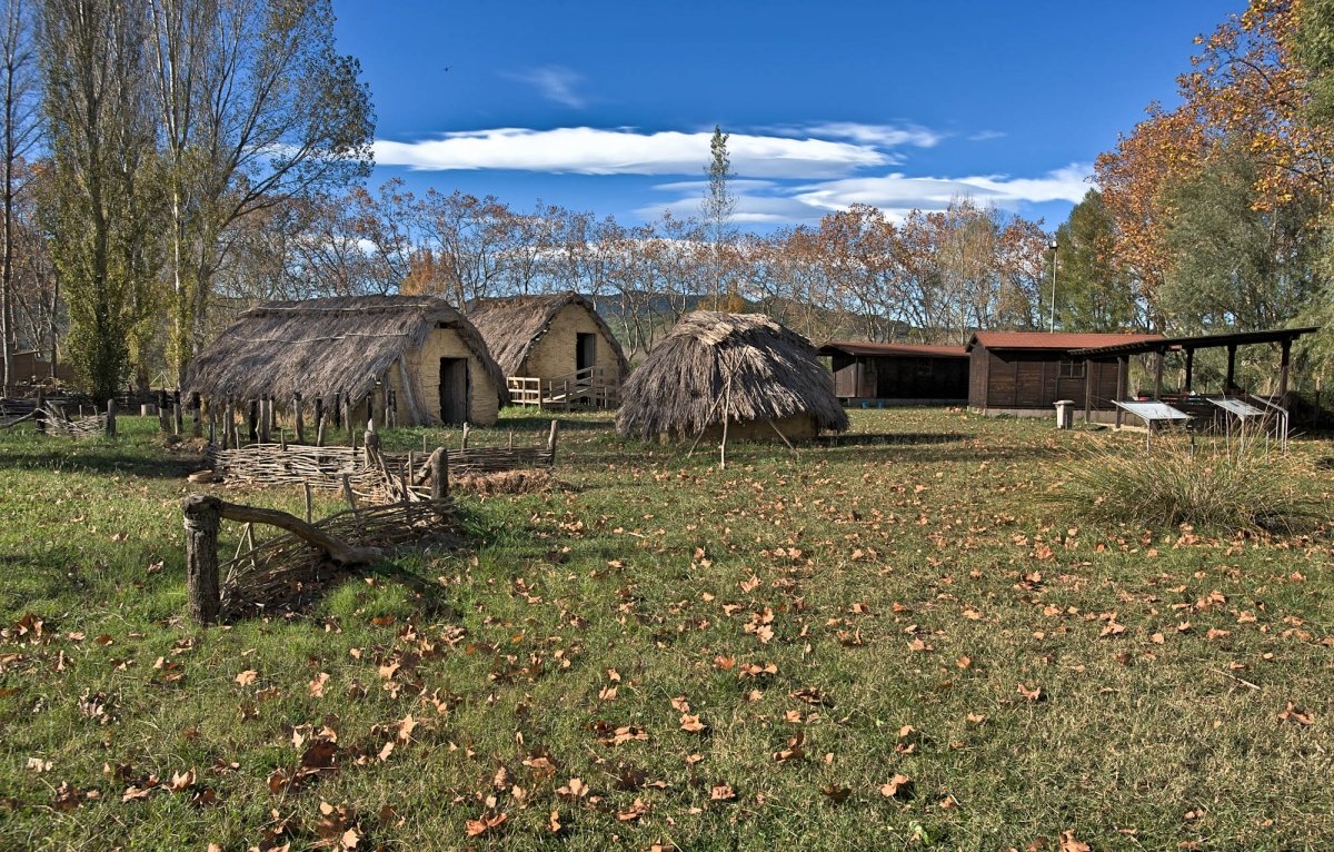 Exploring the composition and management of early Neolithic cattle herds in the western Mediterranean: The cattle herd from La Draga (Banyoles, Spain)