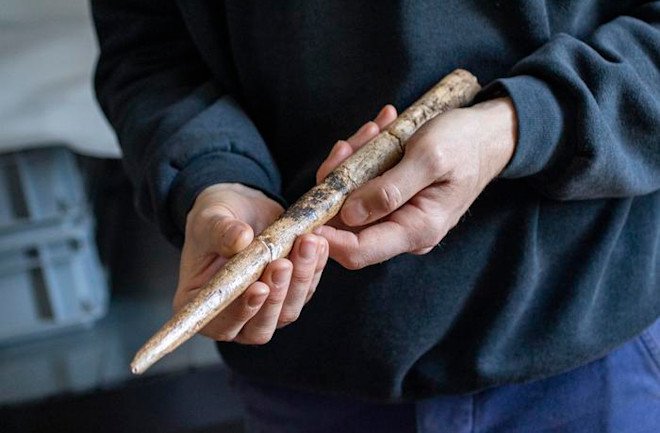 Late Paleolithic whale bone tools reveal human and whale ecology in the Bay of Biscay